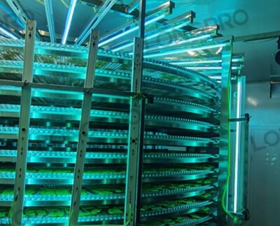 食品廠防爆紫外線殺菌燈：保障食品生產(chǎn)環(huán)境安全的利器！